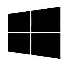 Microsoft Icon
